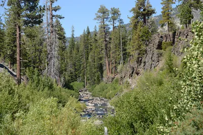 DSC_3817 (Large).JPG